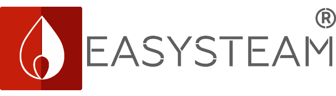 Компания ИзиСтим